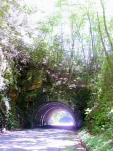 The tunnel into Cade's Cove