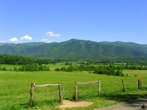 Another view of Cade's Cove drive