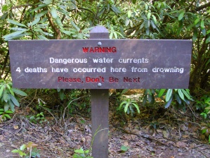 The warning sign right before reaching Abrams Falls...wow...just wow.