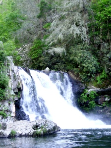 The beautiful Abrams Falls