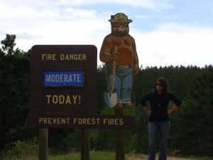 Only I can prevent forest fires